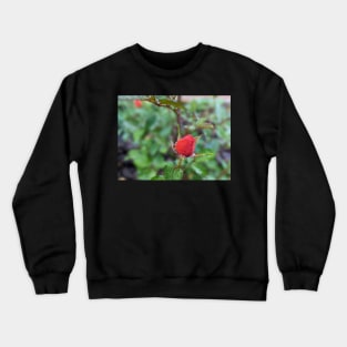 Rose Bud 1 Crewneck Sweatshirt